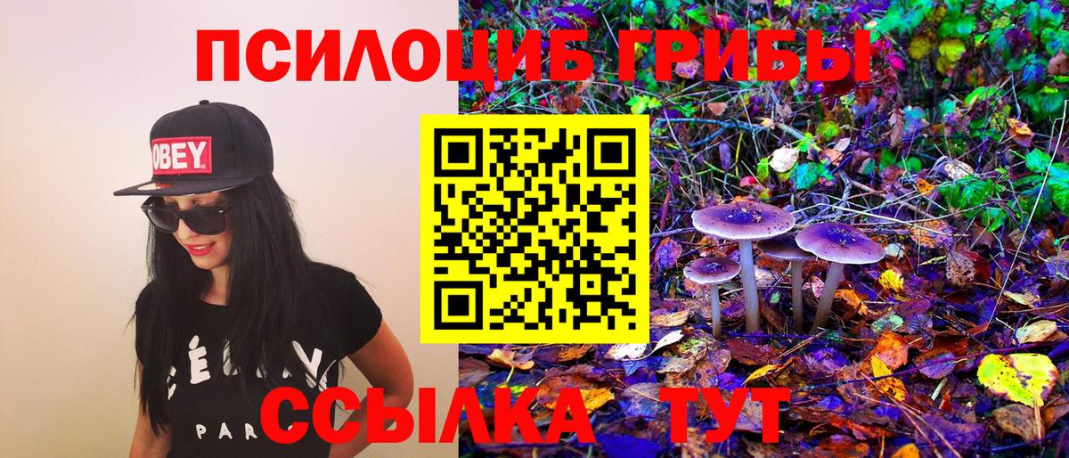Псилоцибиновые грибы MAGIC MUSHROOMS Королёв